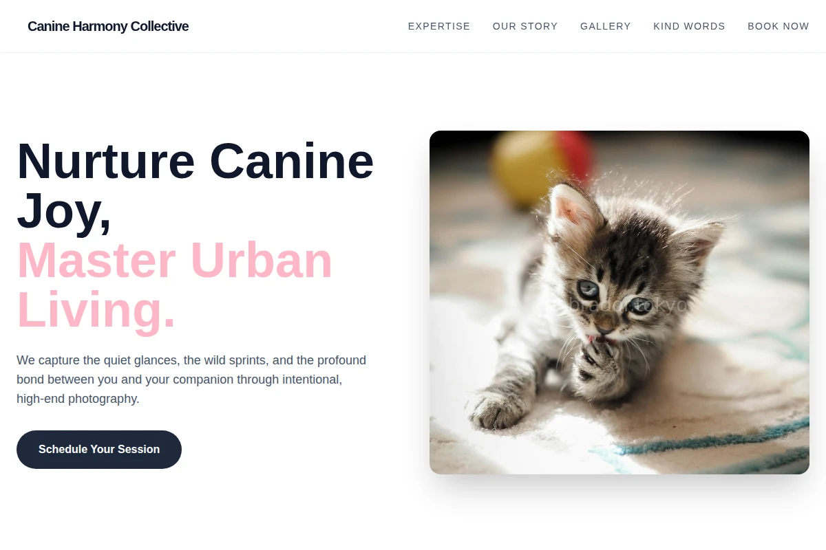 Scruff Pet Photography