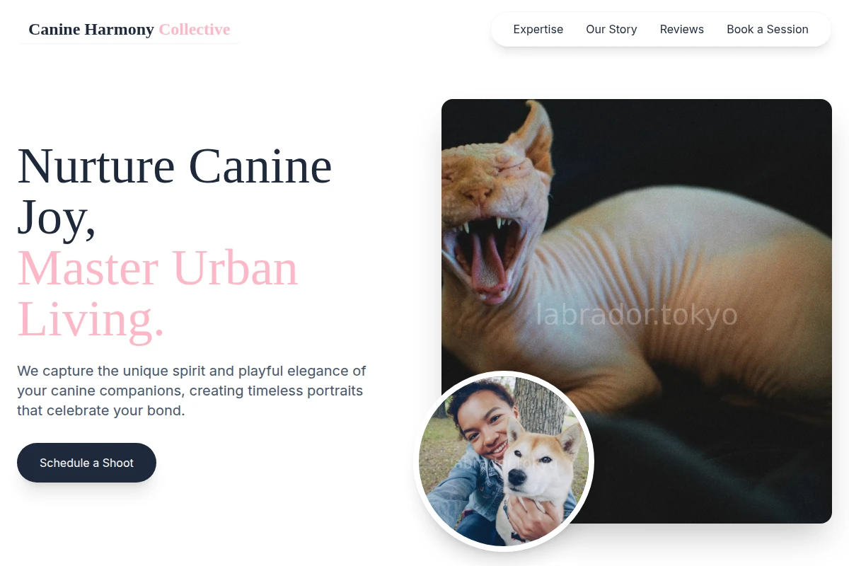 Bone Pet Photography