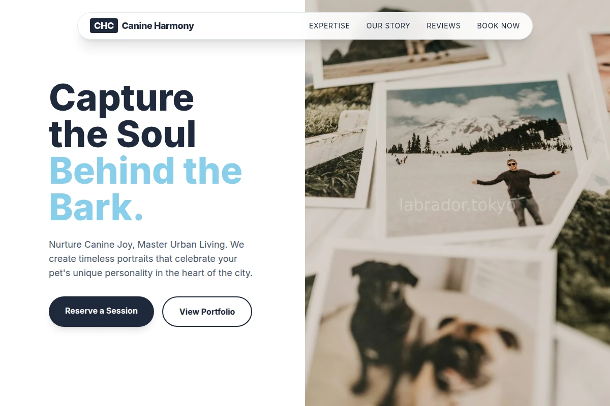Wag Pet Photography