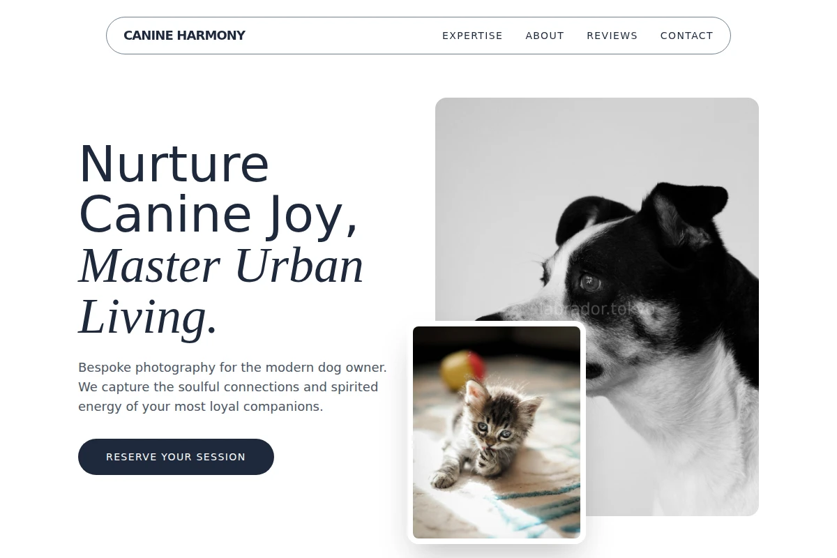 Bone Pet Photography