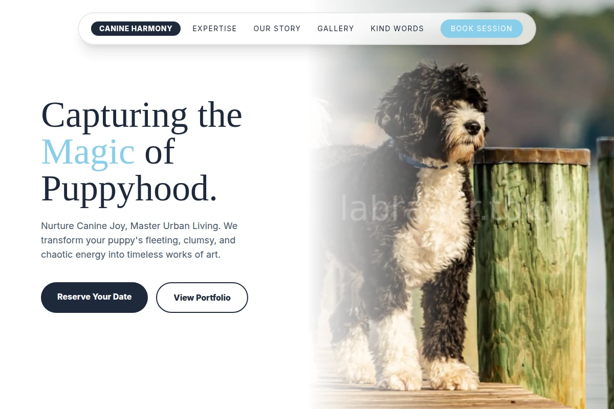 Puppy Pet Photography