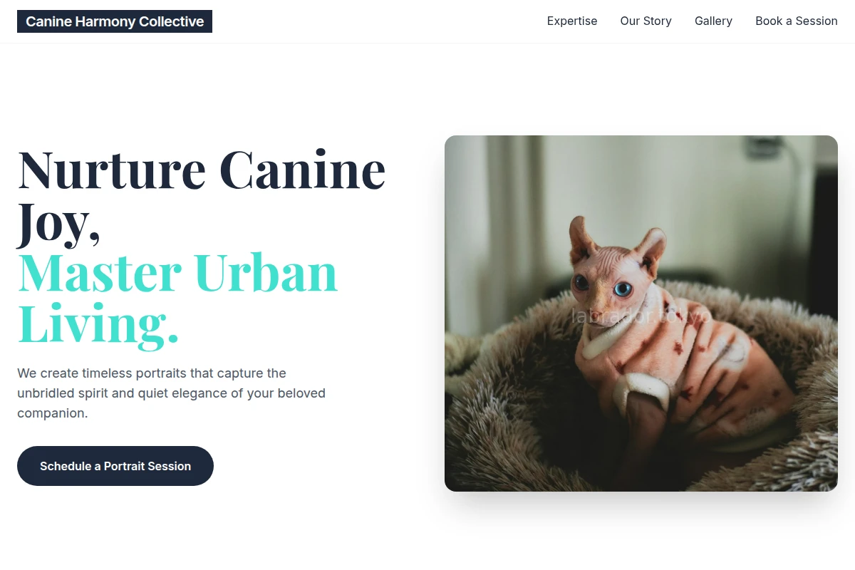 Coat Pet Photography