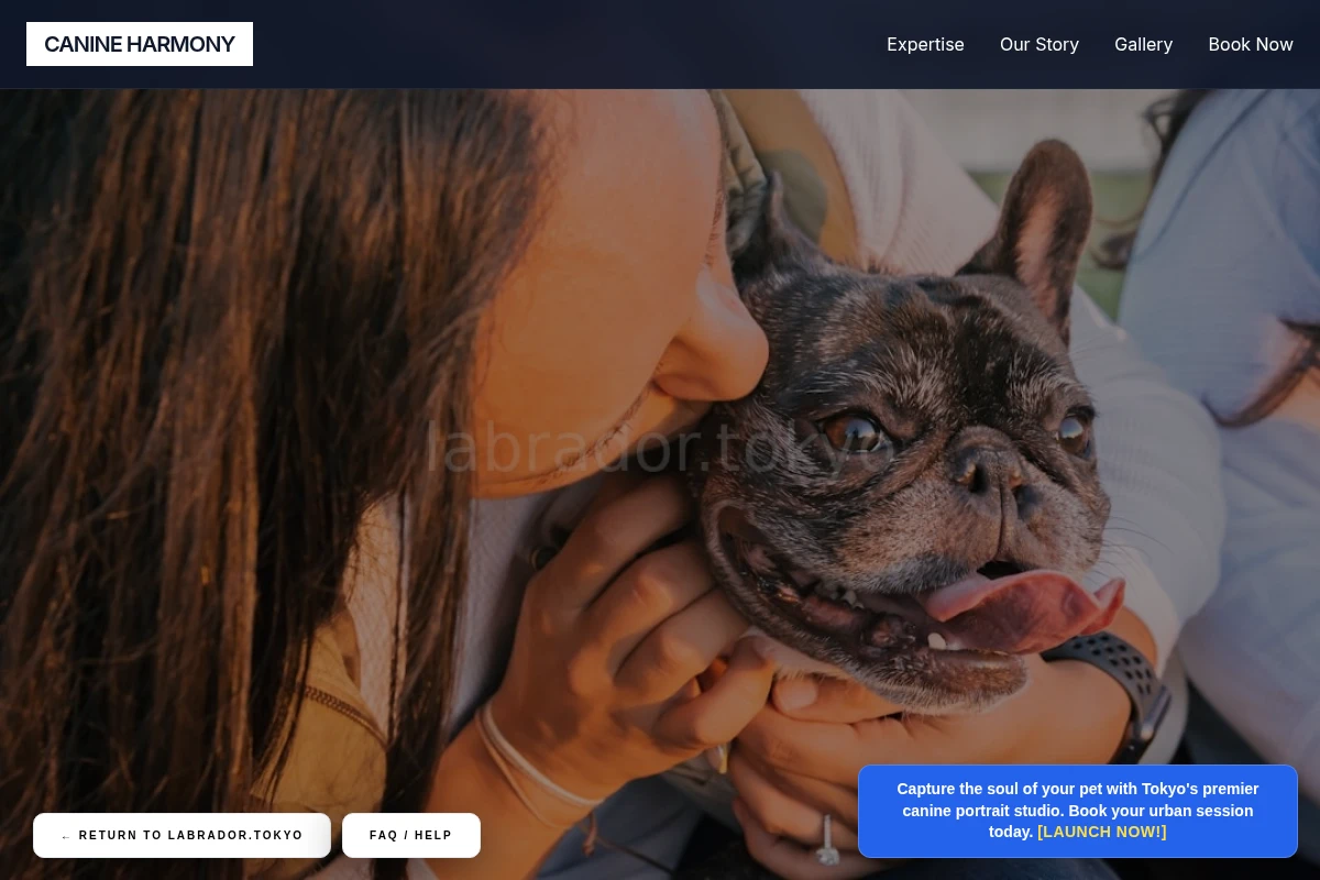 Calm Pet Photography