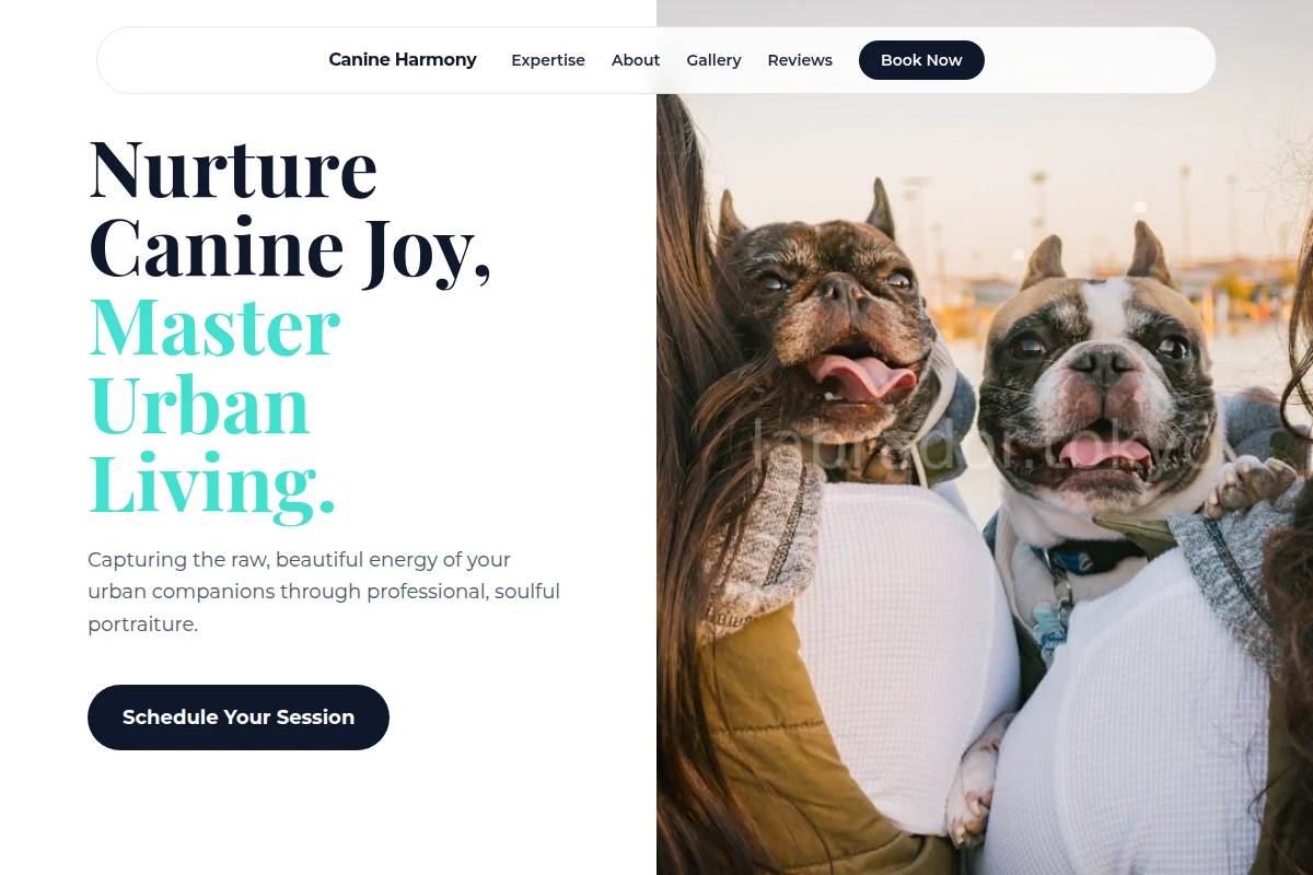 Scruff Pet Photography