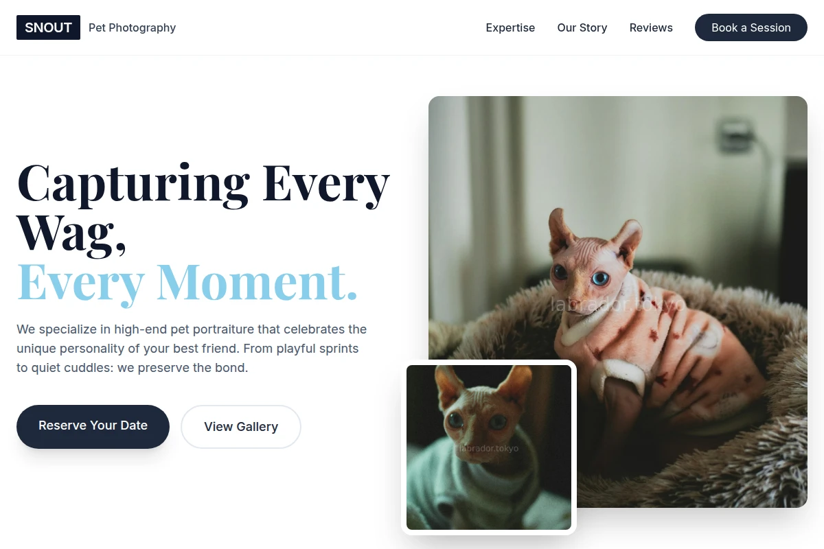 Snout Pet Photography
