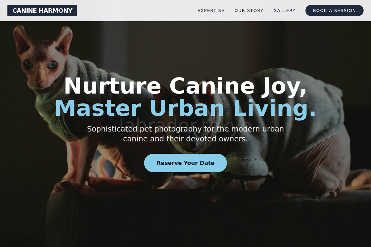 Canine Pet Photography