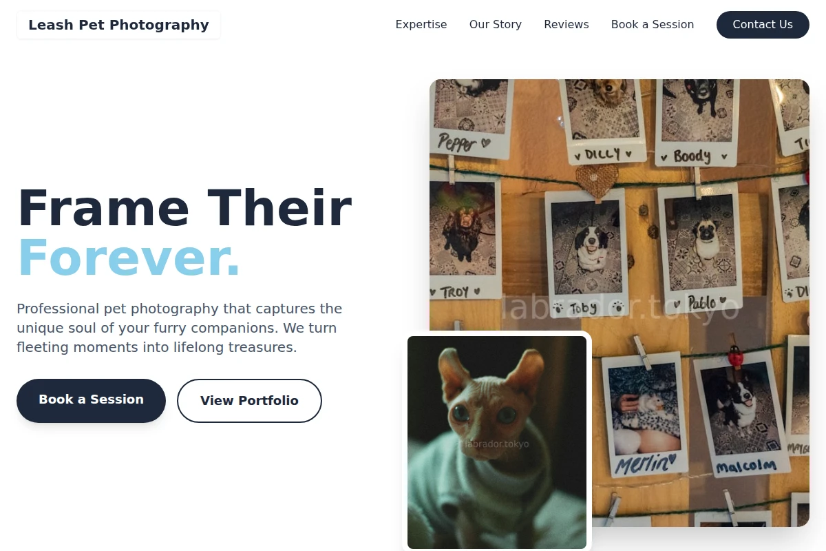 Leash Pet Photography