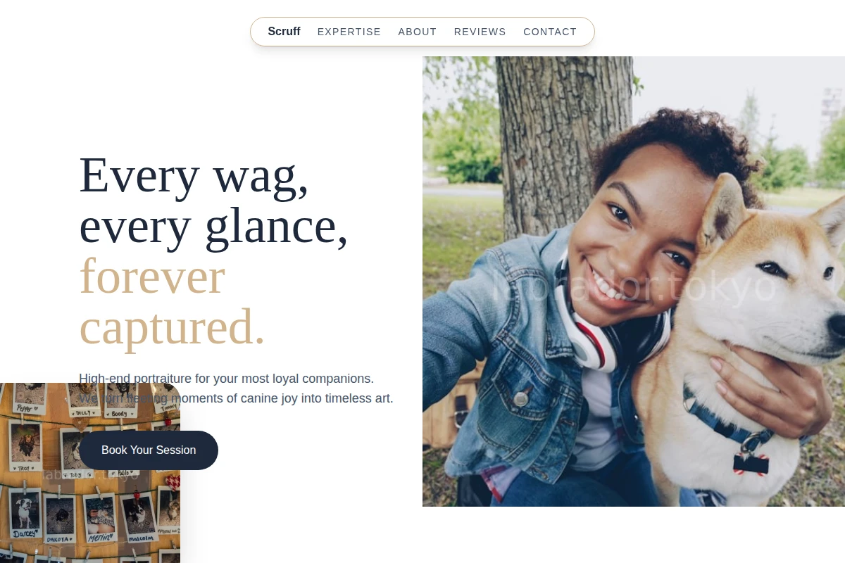 Scruff Pet Photography