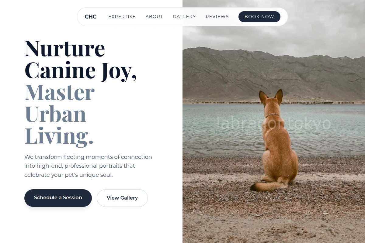 Kennel Pet Photography