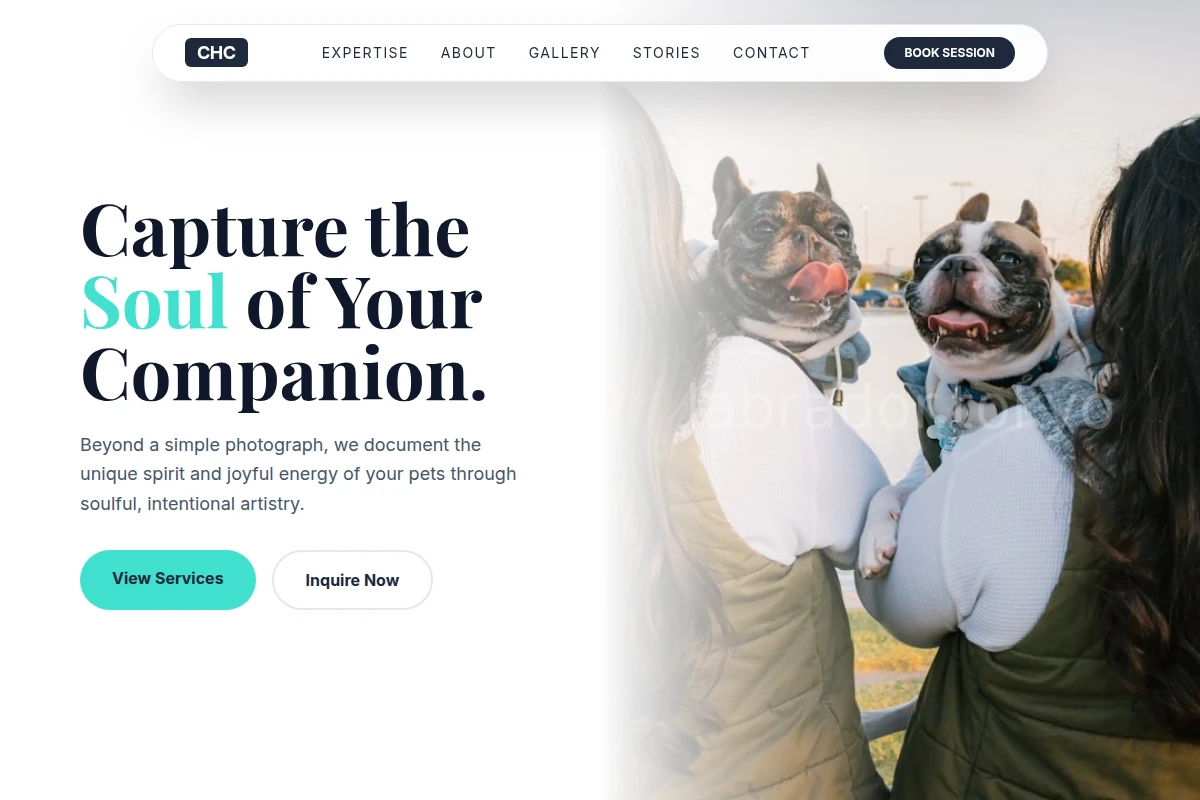Spirit Pet Photography