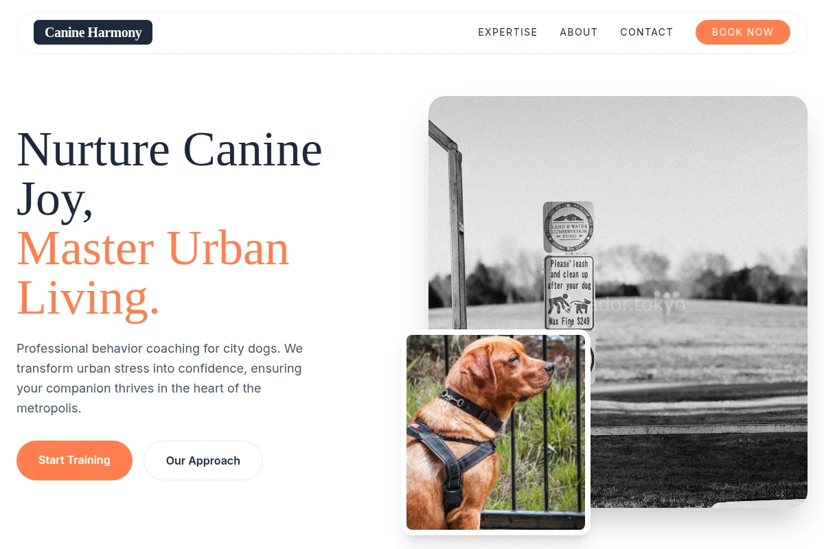 Breed Pet Services