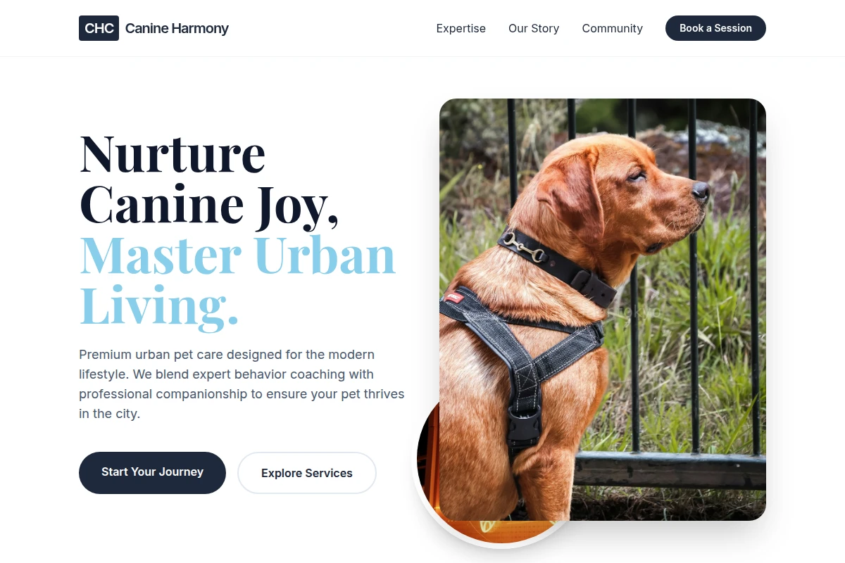 Treat Pet Services
