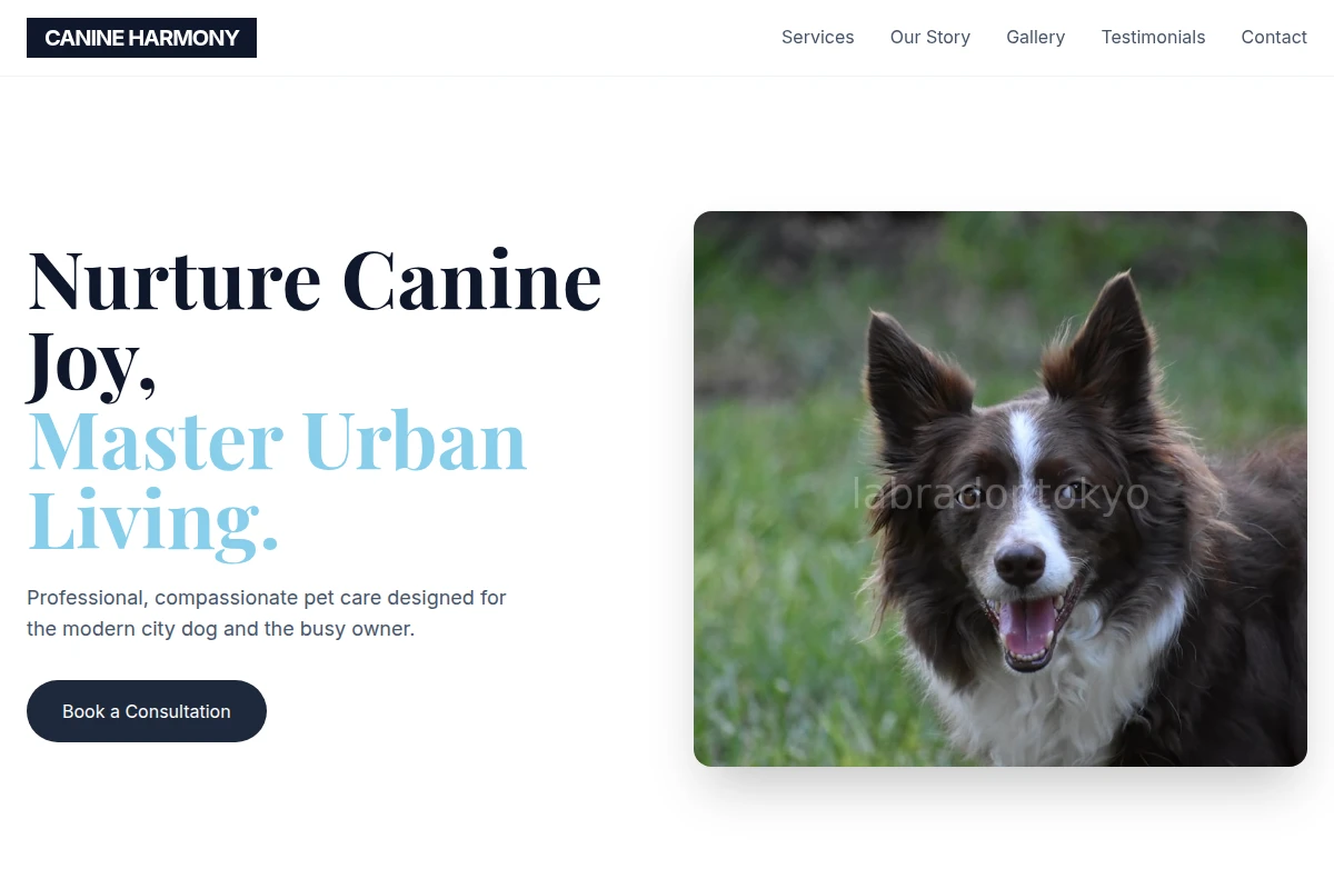 Walk Pet Services