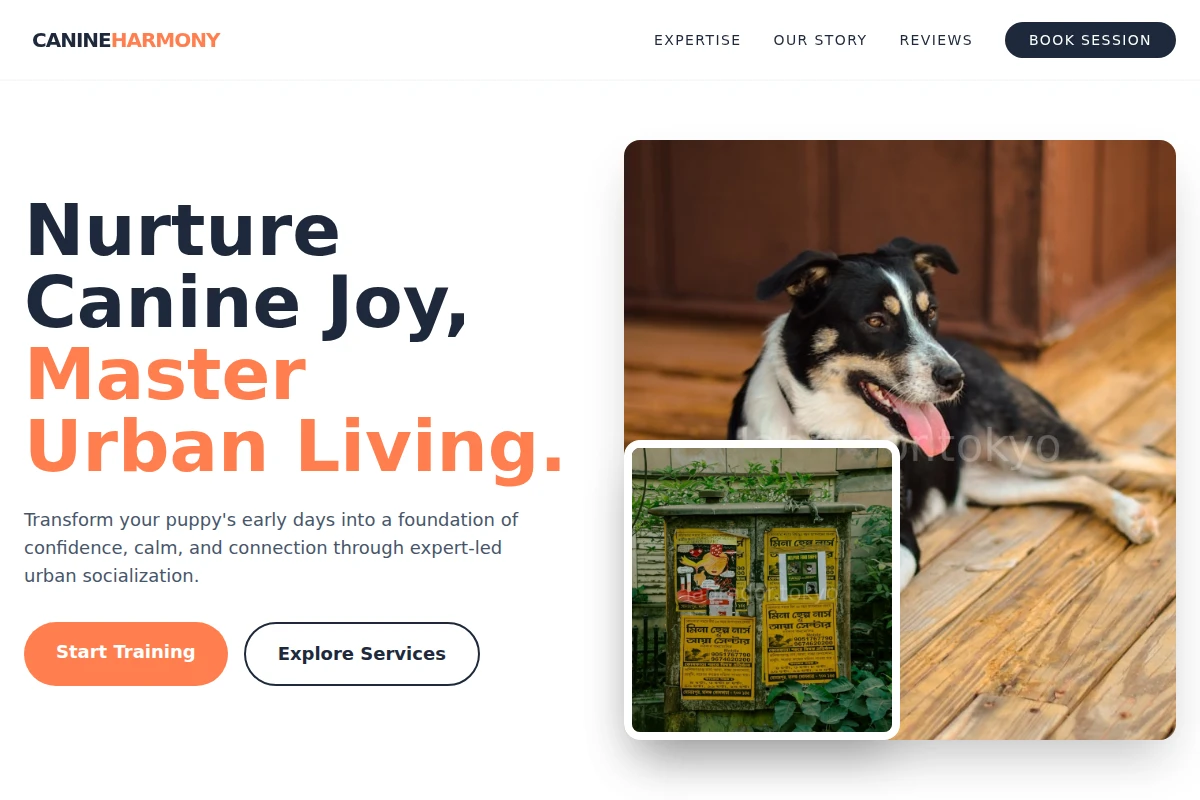 Puppy Pet Services