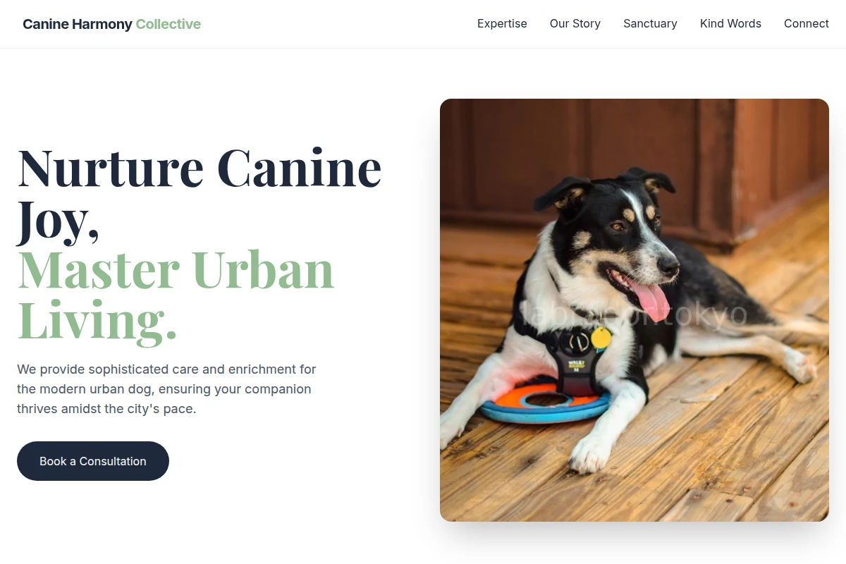 Park Pet Services