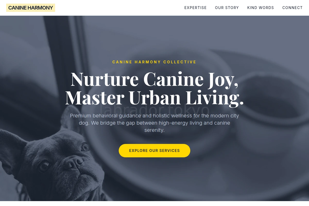 pet-services