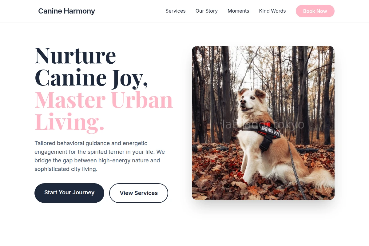 Terrier Pet Services